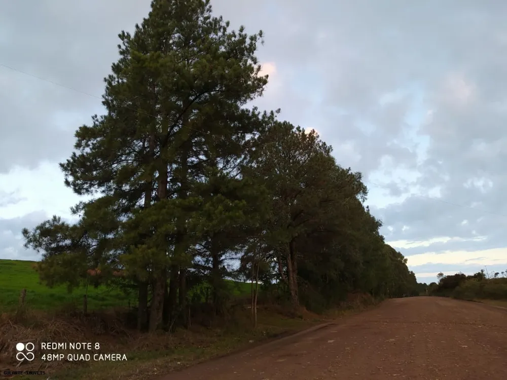 Terreno, 12 hectares - Foto 6