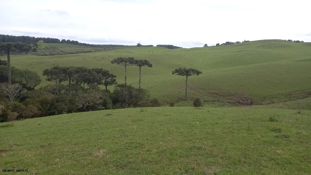 Terreno, 12 hectares - Foto 3