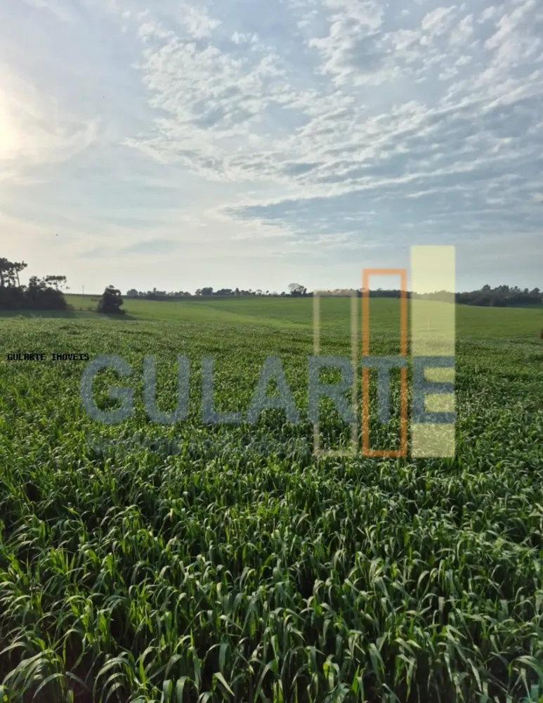Terreno, 86 hectares - Foto 1