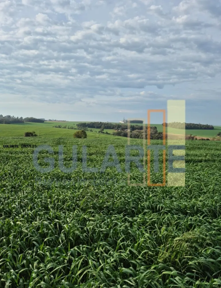 Terreno, 86 hectares - Foto 2
