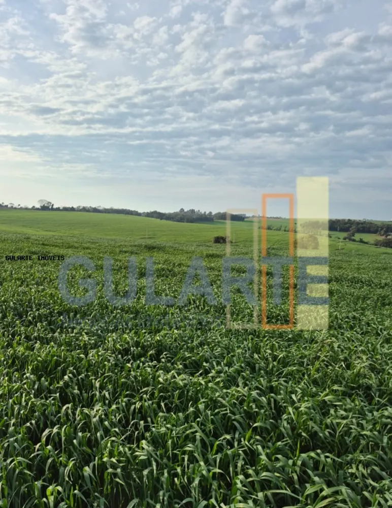 Terreno, 86 hectares - Foto 4