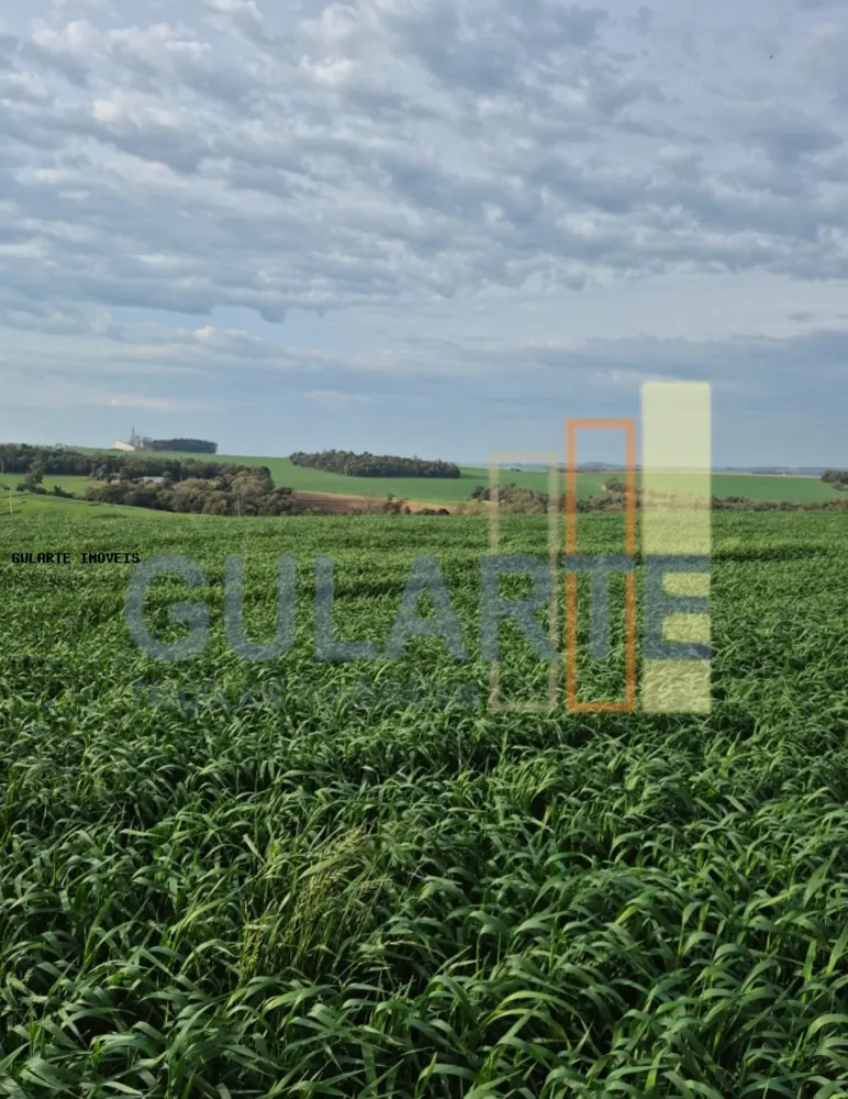Terreno, 86 hectares - Foto 3
