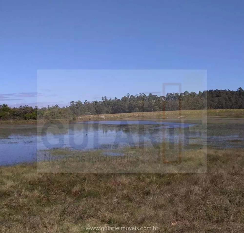 Fazenda, 106 hectares - Foto 2