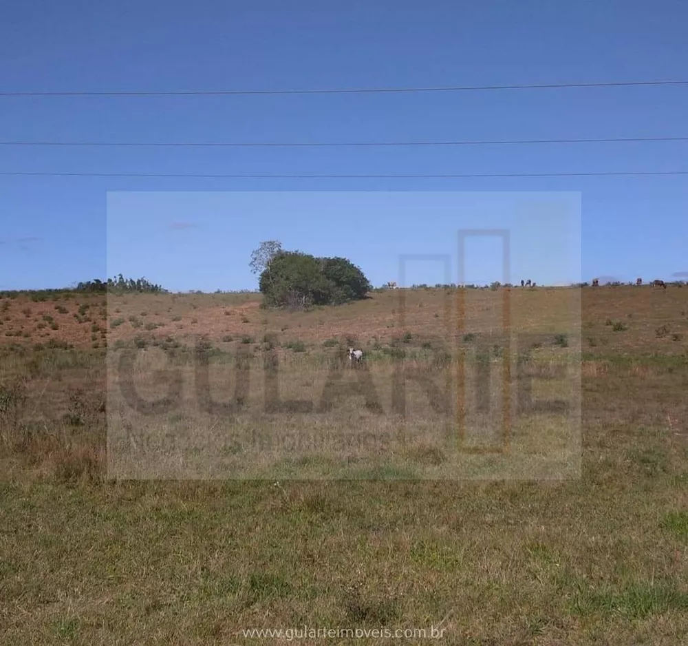 Fazenda, 106 hectares - Foto 6