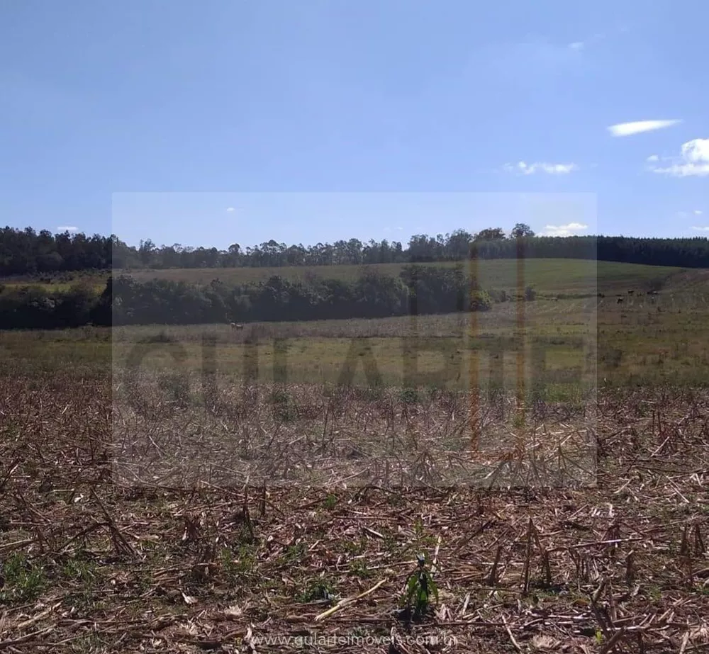 Fazenda, 106 hectares - Foto 5