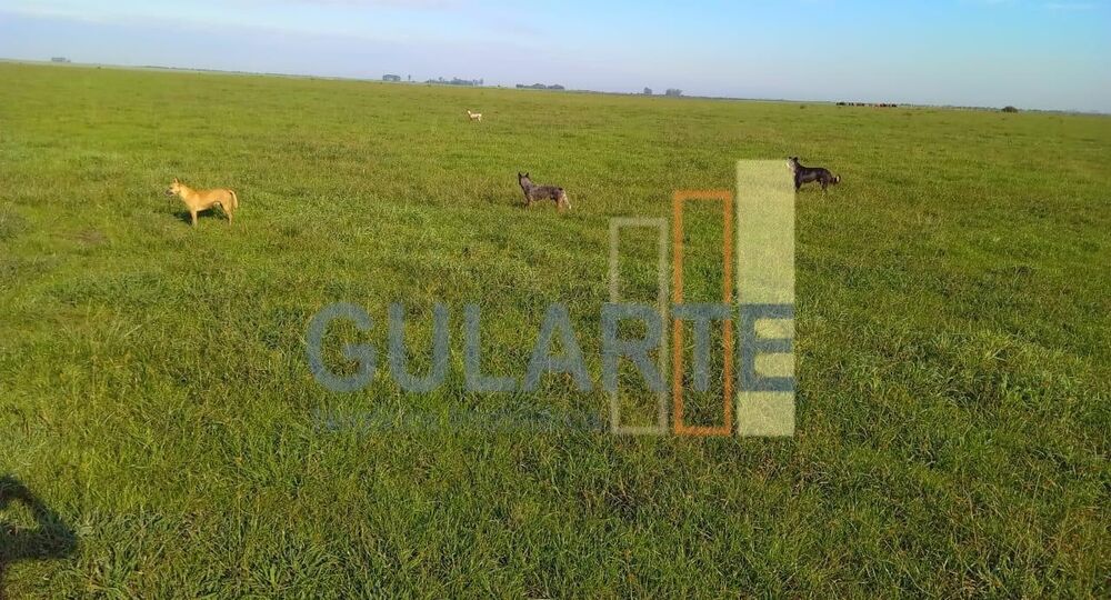 Fazenda à venda, 5450000m² - Foto 3