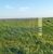 Fazenda-Sítio-Chácara, 545 hectares - Foto 4