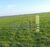 Fazenda-Sítio-Chácara, 545 hectares - Foto 2