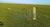 Fazenda-Sítio-Chácara, 545 hectares - Foto 3