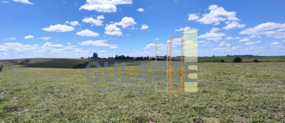 Fazenda, 320 hectares - Foto 7