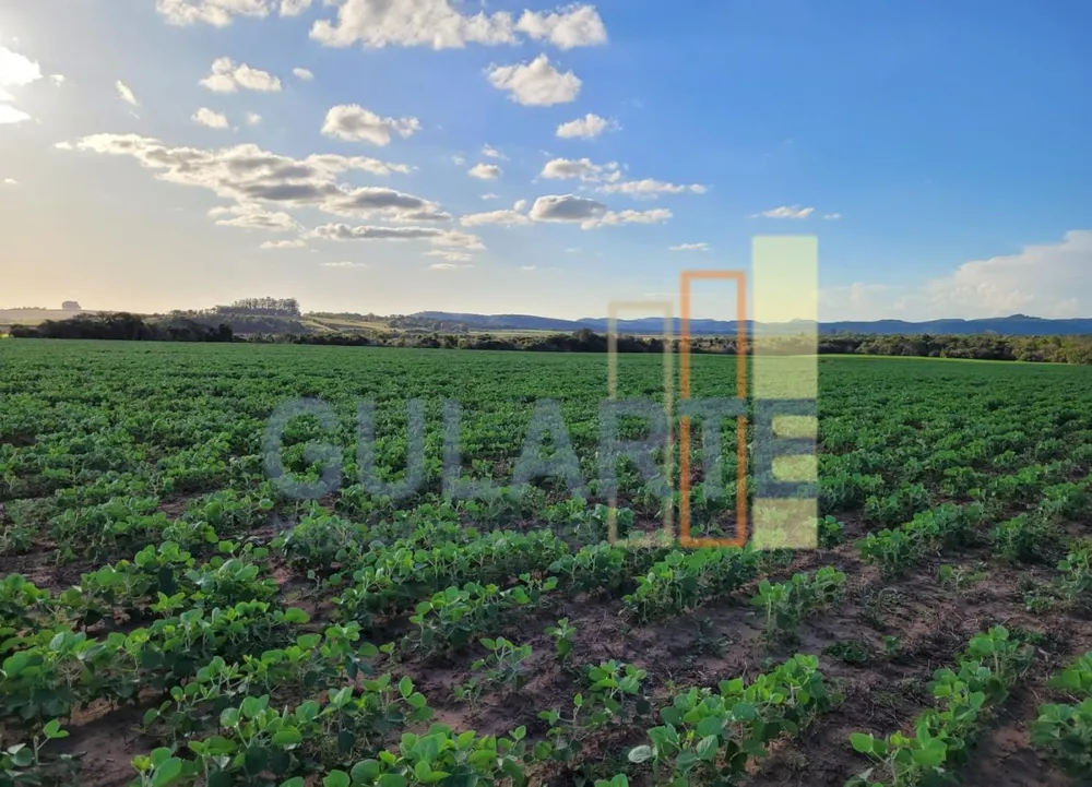 Fazenda, 320 hectares - Foto 4