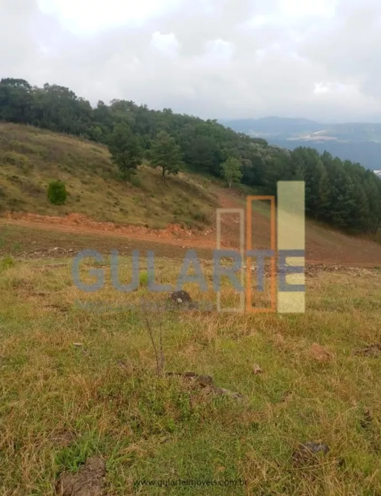 Fazenda, 34 hectares - Foto 3