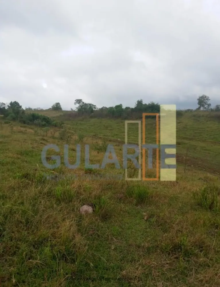 Fazenda, 34 hectares - Foto 7