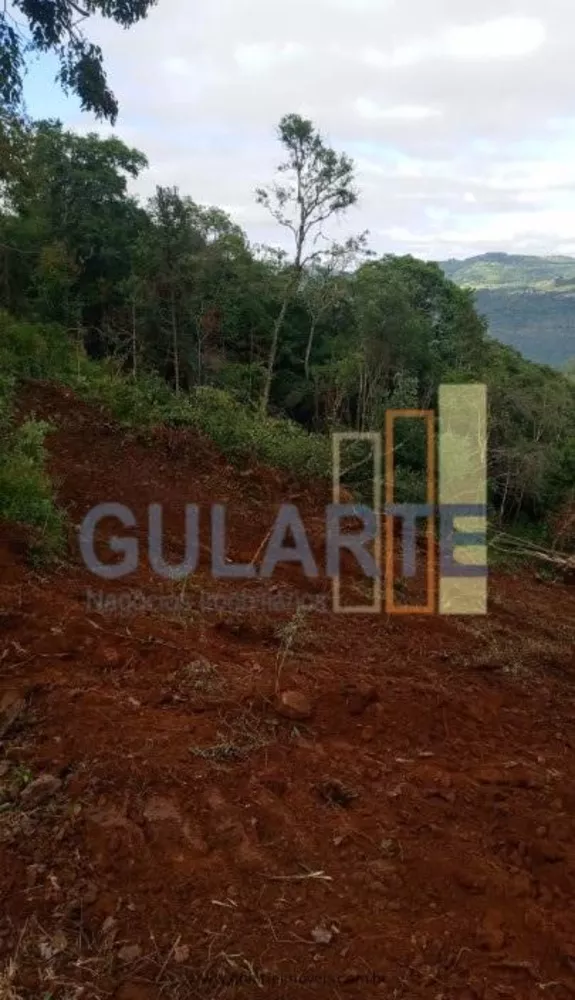 Fazenda, 34 hectares - Foto 7