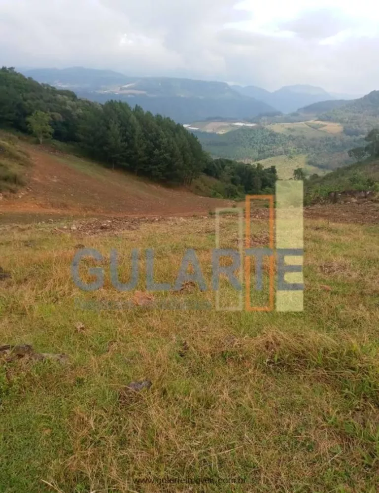 Fazenda, 34 hectares - Foto 6
