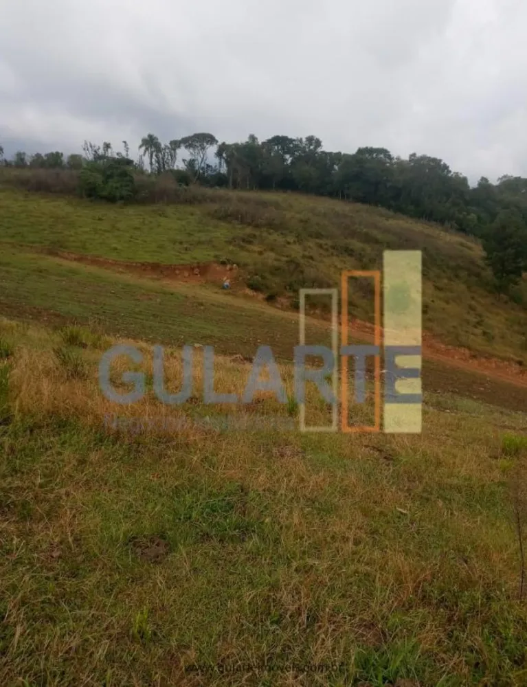 Fazenda, 34 hectares - Foto 6