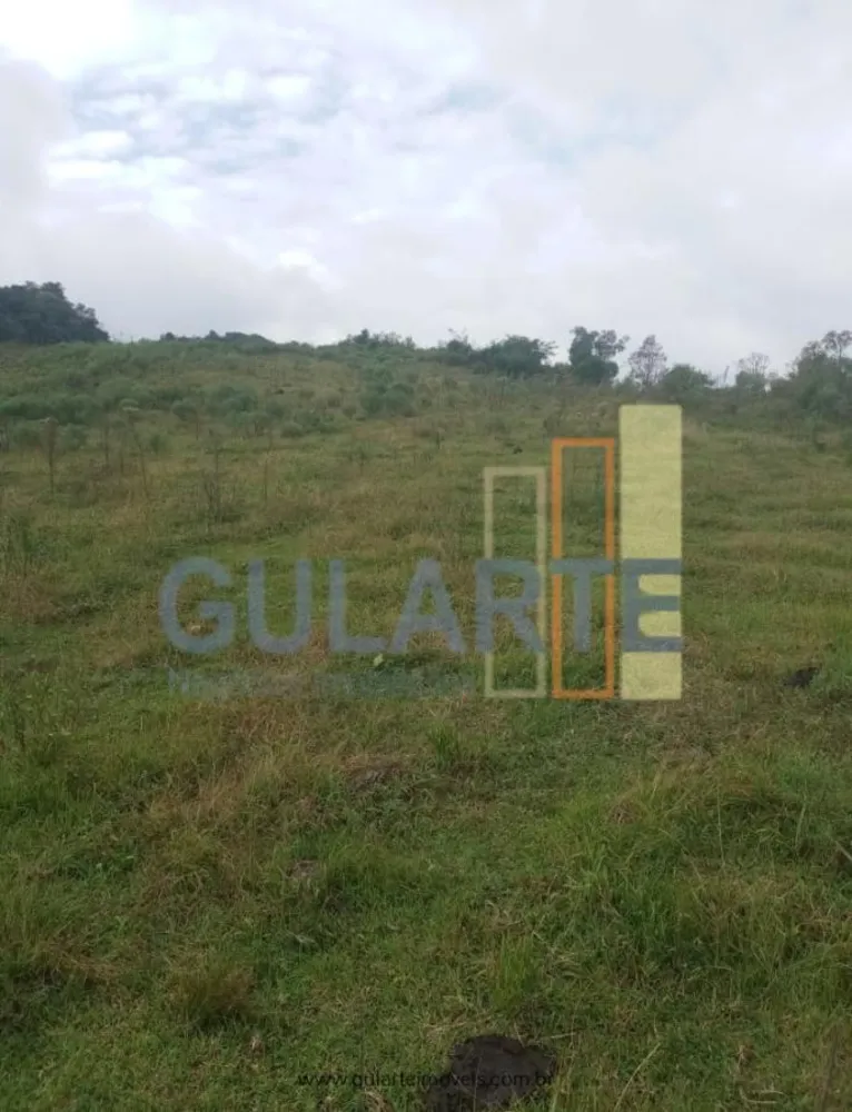 Sítio, 34 hectares - Foto 1