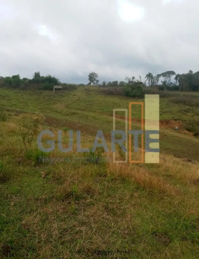 Fazenda, 34 hectares - Foto 1