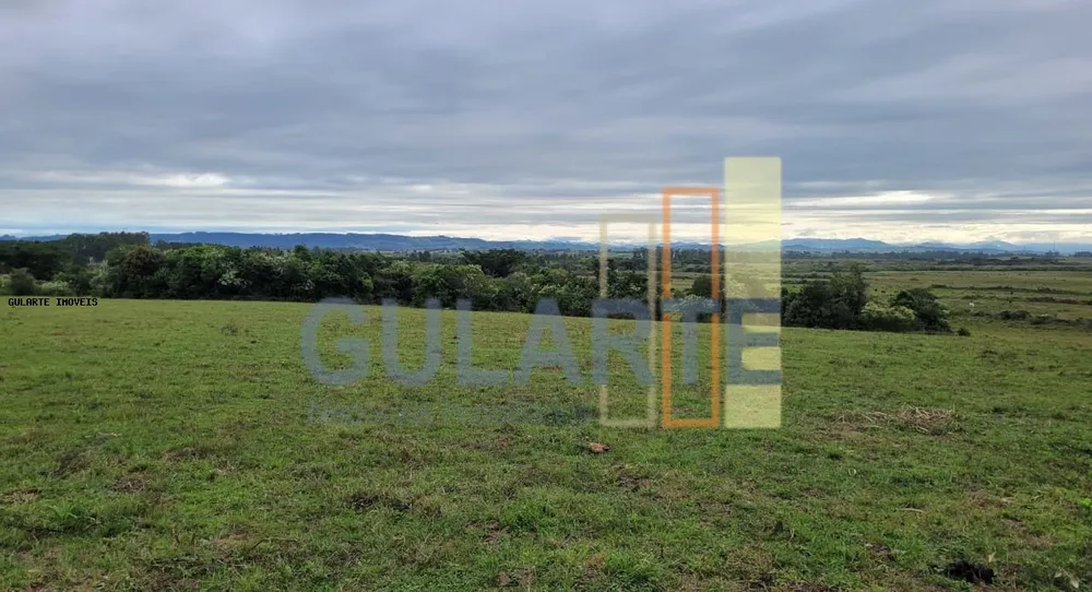 Fazenda, 458 hectares - Foto 3