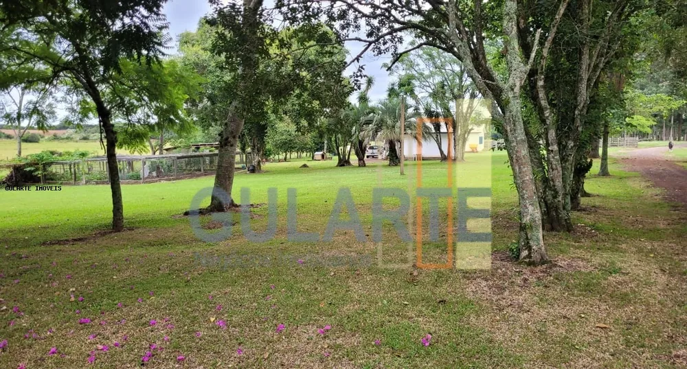 Fazenda, 458 hectares - Foto 8