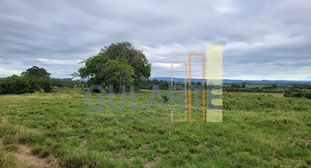 Fazenda, 458 hectares - Foto 7