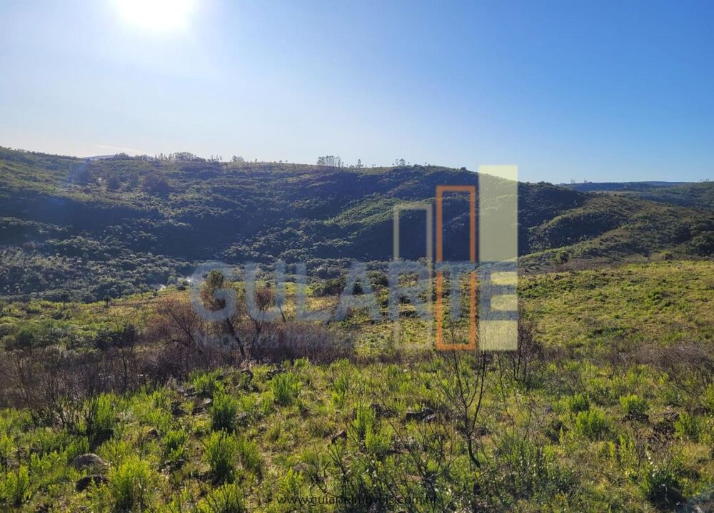 Fazenda à venda, 4000000m² - Foto 6