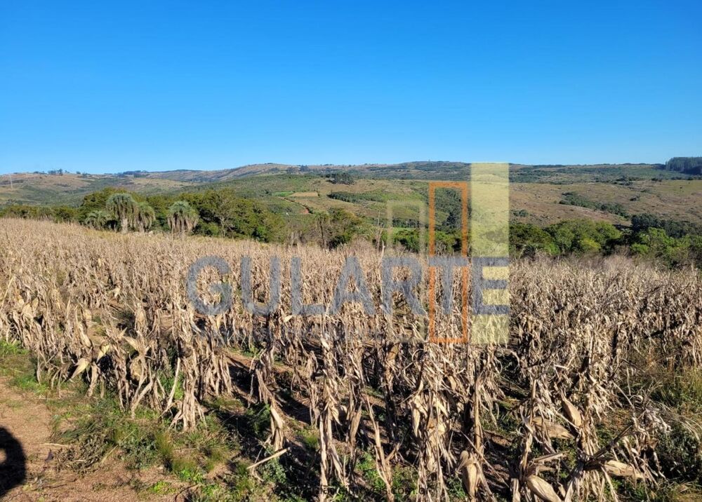 Fazenda à venda, 4000000m² - Foto 14