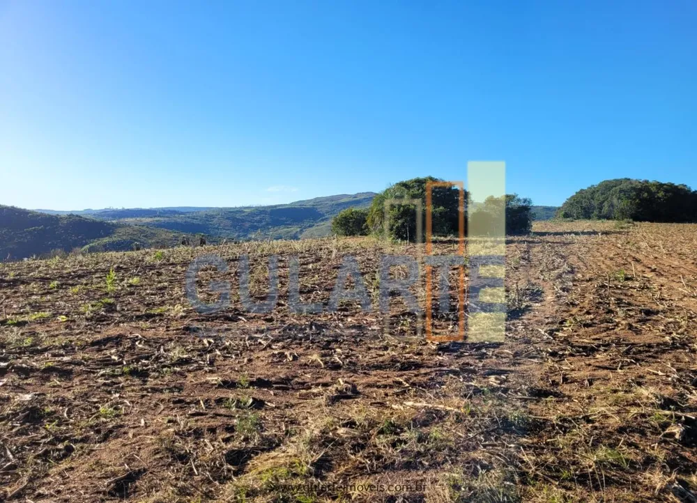 Fazenda, 400 hectares - Foto 27
