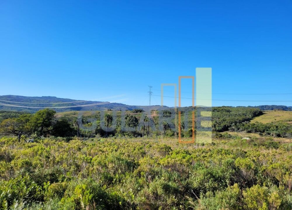 Fazenda à venda, 4000000m² - Foto 8