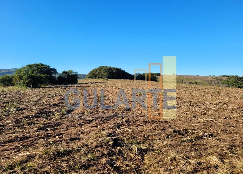 Fazenda, 366 hectares - Foto 12