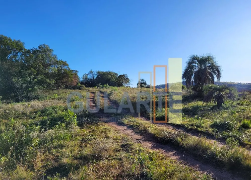 Fazenda, 400 hectares - Foto 7