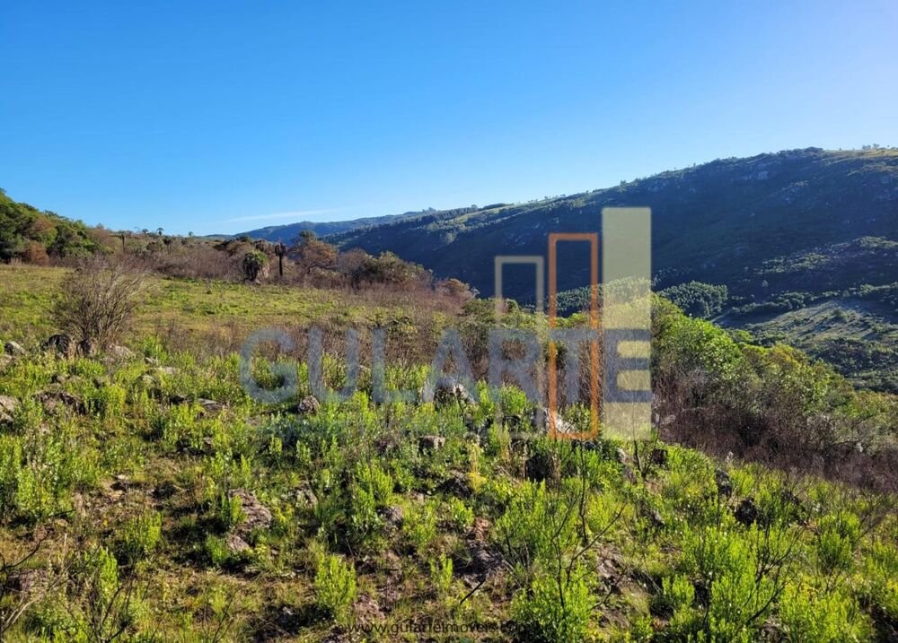 Fazenda à venda, 4000000m² - Foto 11