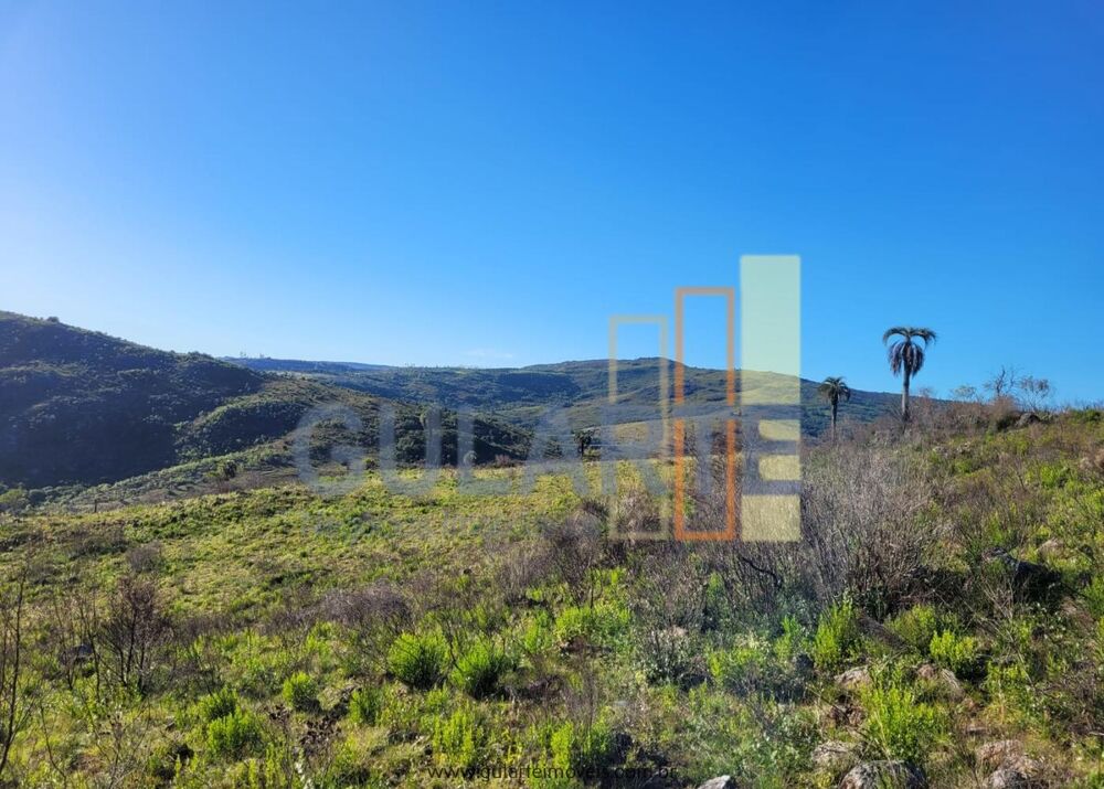 Fazenda à venda, 4000000m² - Foto 4