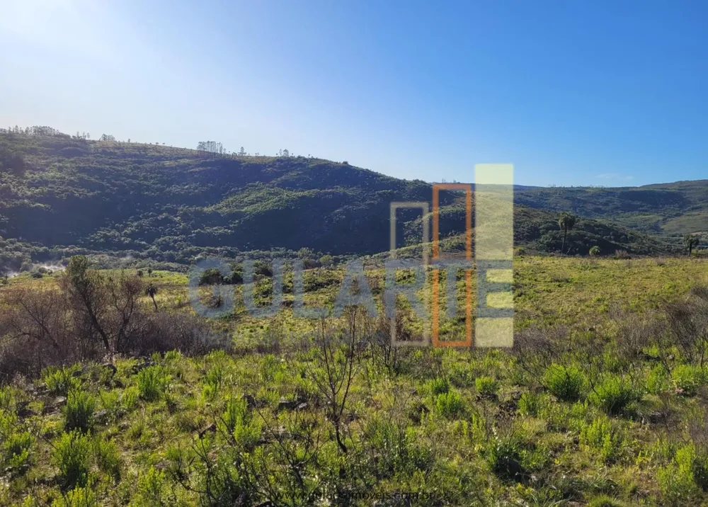 Fazenda, 366 hectares - Foto 28