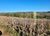 Fazenda-Sítio-Chácara, 400 hectares - Foto 14