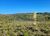 Fazenda-Sítio-Chácara, 400 hectares - Foto 13