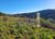 Fazenda-Sítio-Chácara, 400 hectares - Foto 11
