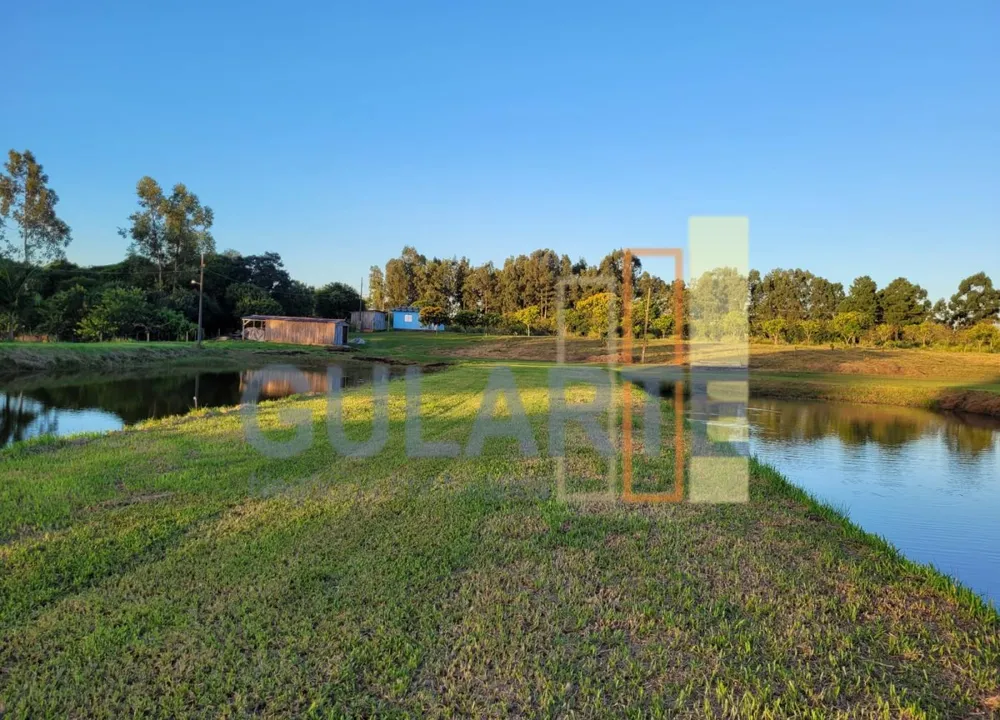 Chácara, 6 hectares - Foto 4