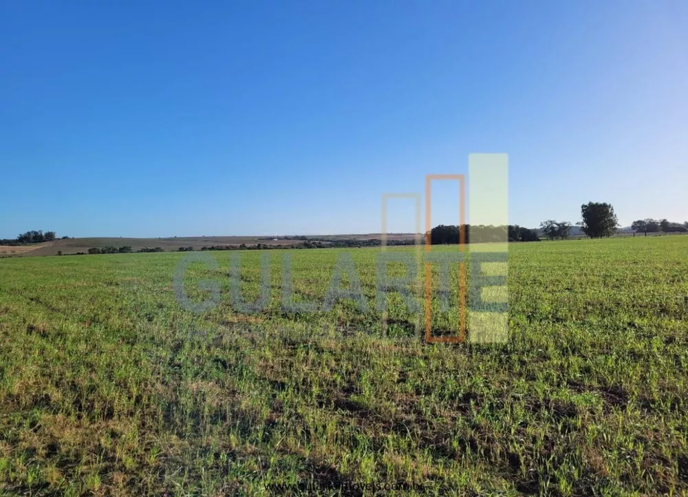 Fazenda, 256 hectares - Foto 4