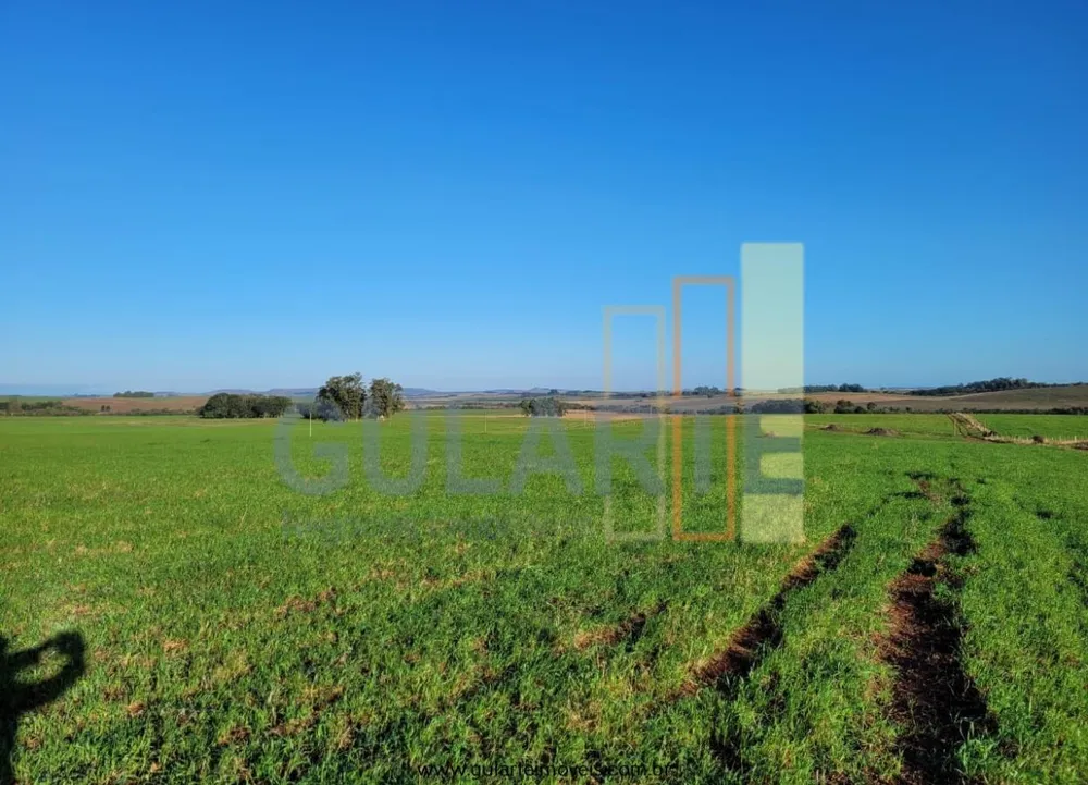 Fazenda, 256 hectares - Foto 9