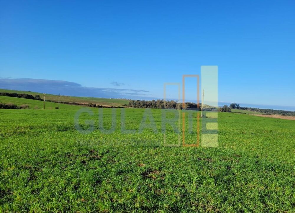 Fazenda à venda, 256m² - Foto 2