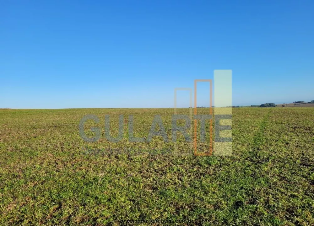 Fazenda, 256 hectares - Foto 1