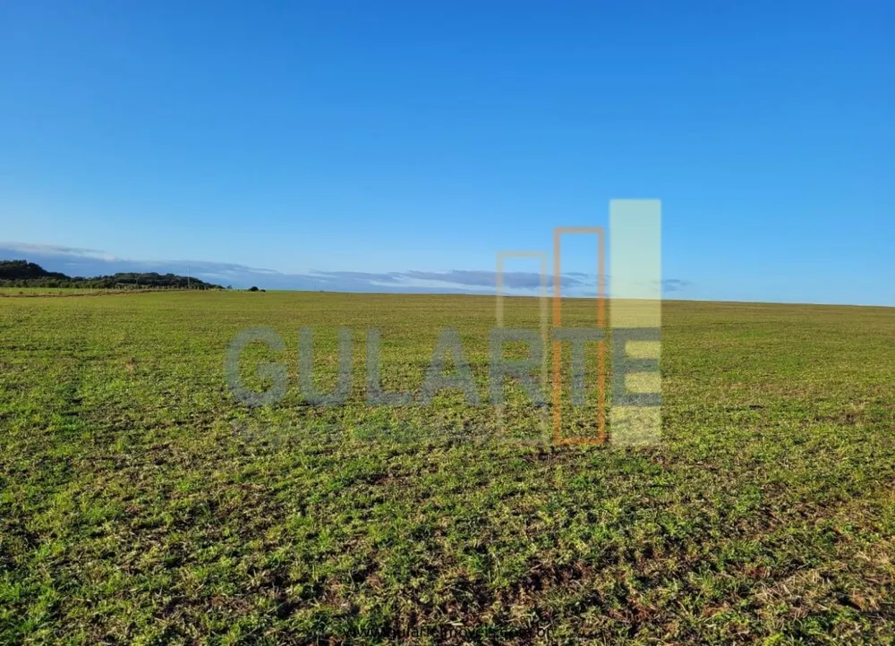 Fazenda, 256 hectares - Foto 10