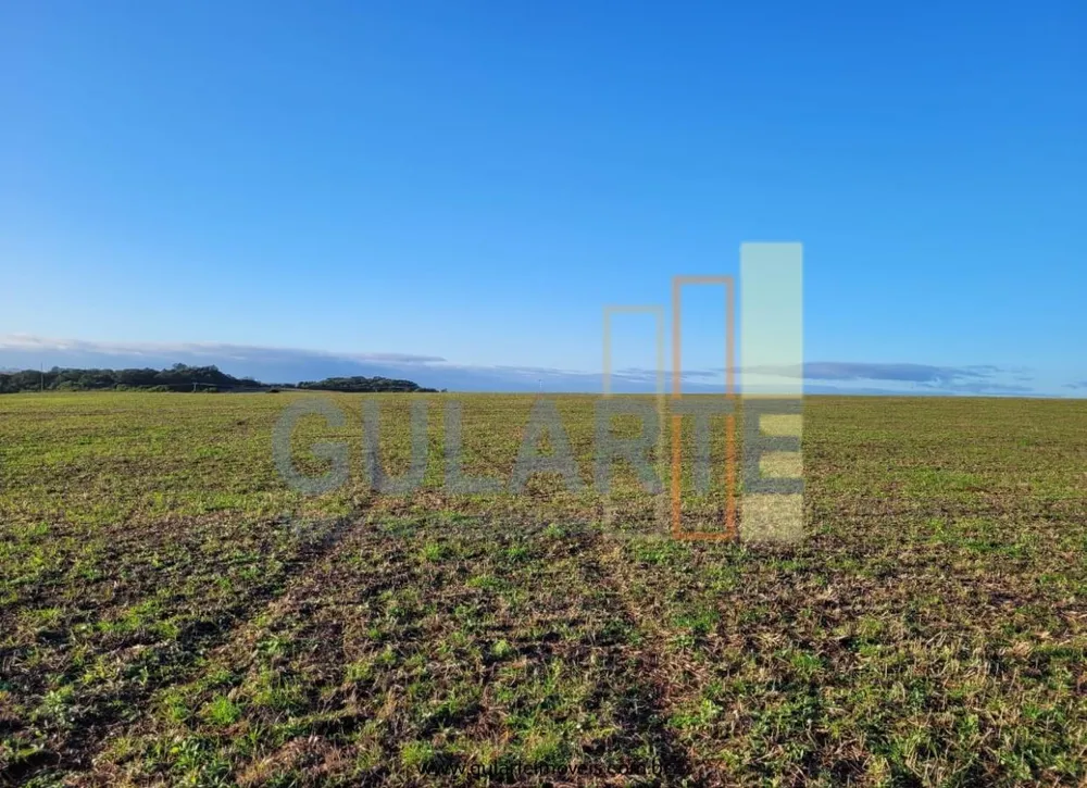 Fazenda, 256 hectares - Foto 11