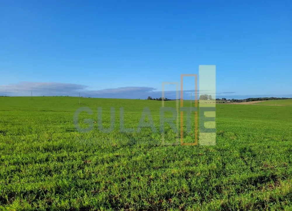 Fazenda, 256 hectares - Foto 6