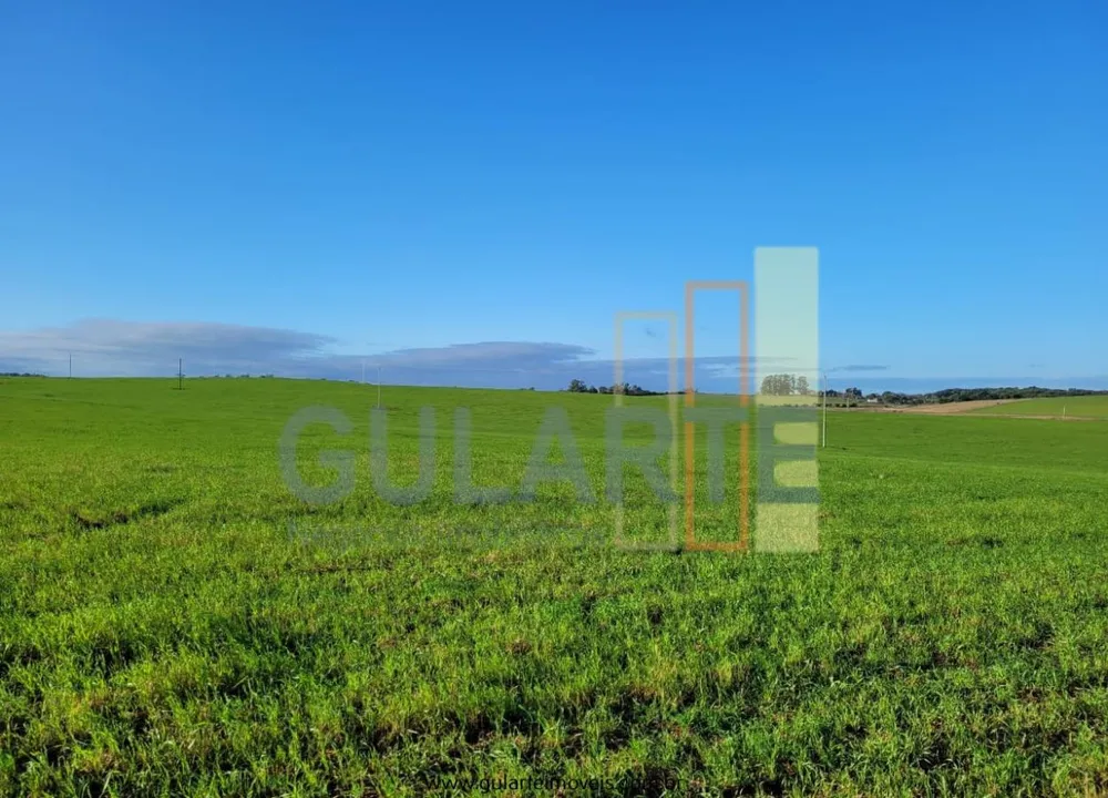 Fazenda, 256 hectares - Foto 7