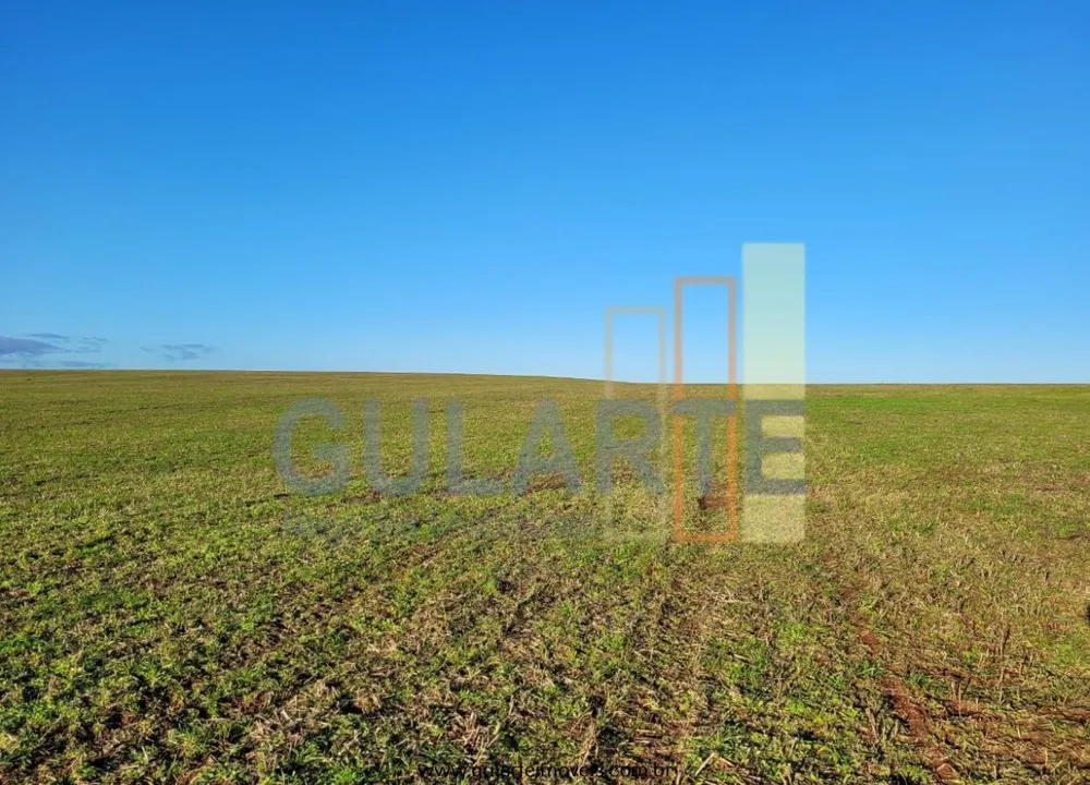 Fazenda, 256 hectares - Foto 15