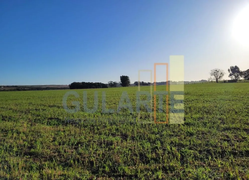 Fazenda, 256 hectares - Foto 3