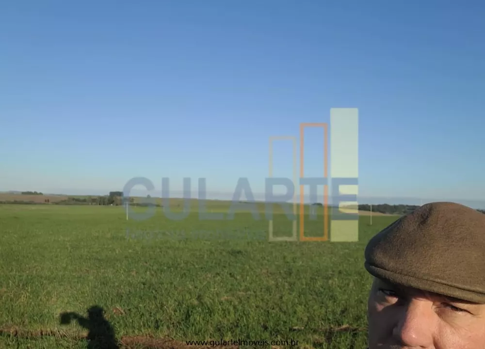 Fazenda, 256 hectares - Foto 2