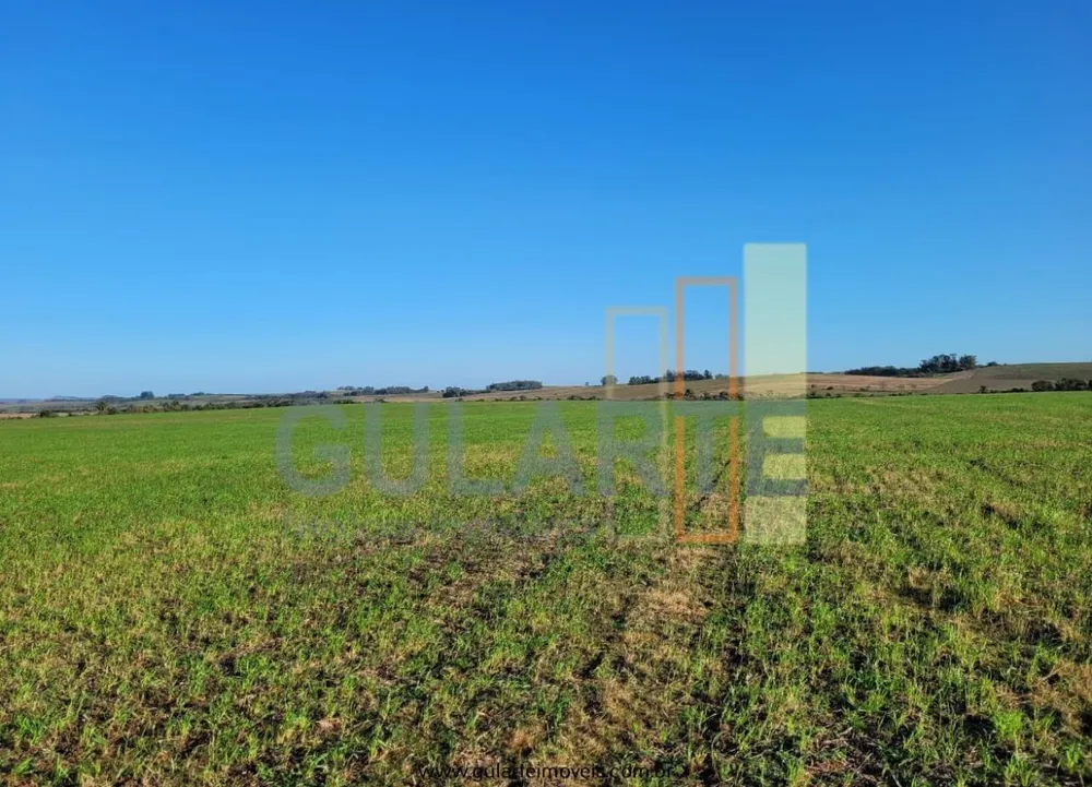 Fazenda, 256 hectares - Foto 2